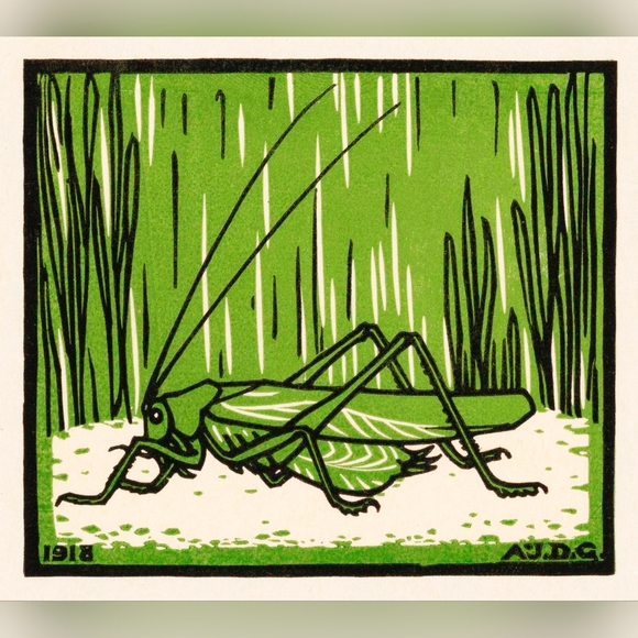 Vintage Other - Green Grasshopper Art Print